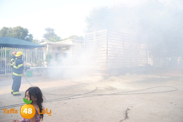 fire truck 804 (9).JPG